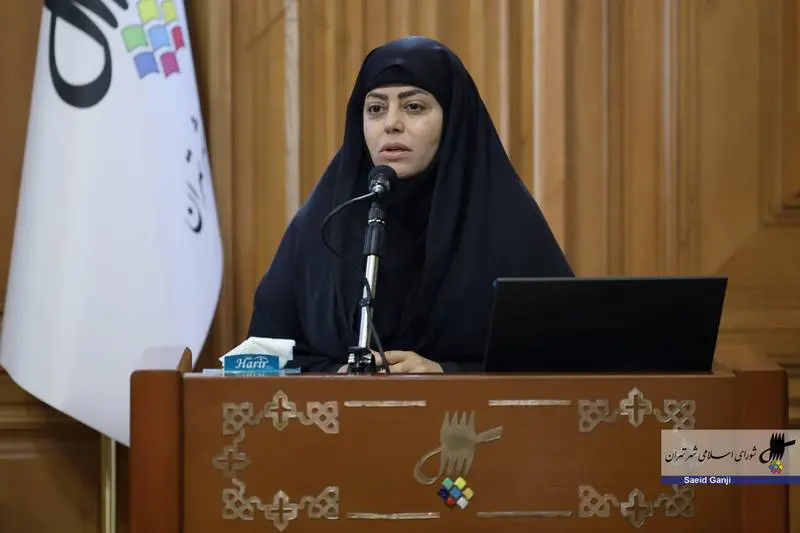 سرپرست سازمان تاکسیرانی شهر تهران: کلیات لایحه نرخ کرایه تاکسی سال ۱۴۰۳ به تایید شورای اسلامی شهر رسید
