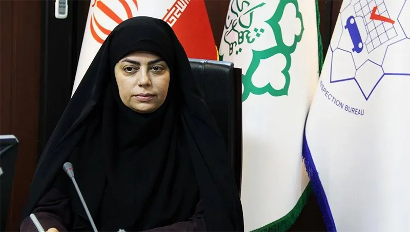 مالکی در یادداشتی عنوان کرد: ۱۴۰۳ ؛ سال تحول بزرگ در تاکسیرانی